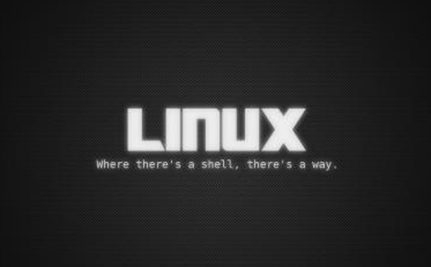 Linux程序设计有那些优化方法