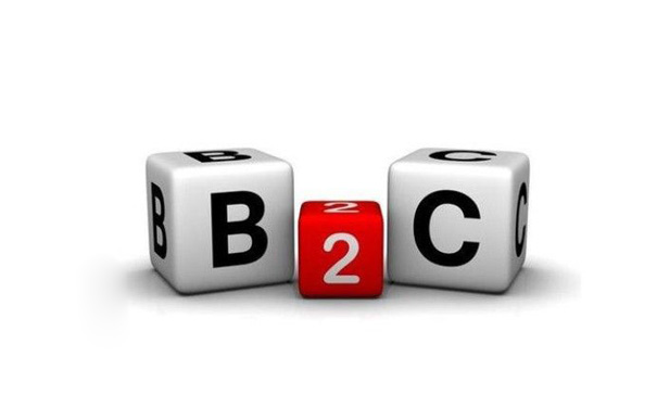 自营B2C和平台B2C的区别 你知道吗？