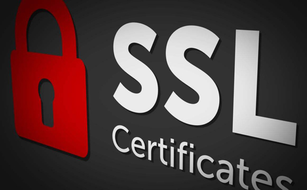 企业型OV SSL证书该怎么申请