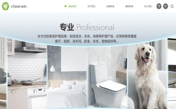 域名cheerwin.com买家身份揭晓 竟被广州超威日化公司买下.jpg