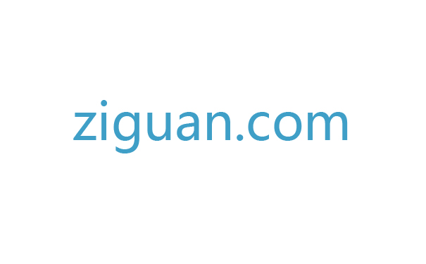 双拼“资管”ziguan.com以39.8万元领