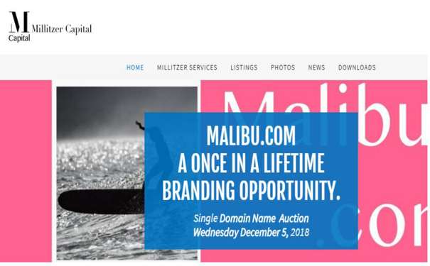 起拍价25万美元！美国城市域名Malibu.com将于下个月拍卖